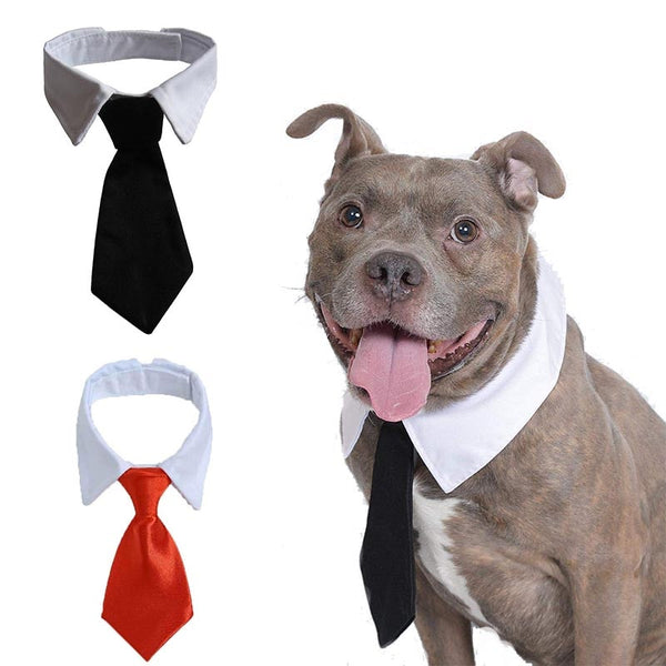 Pet Cat Dog Necktie Adjustable Puppy Cat Tie Dog Accessories for Small Dogs Pet Cat Accessories for Wedding Holiday Party Gift